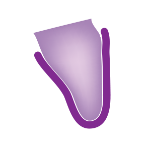 Full with contact