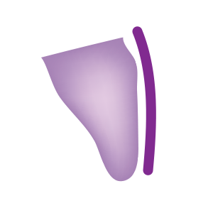 Labial