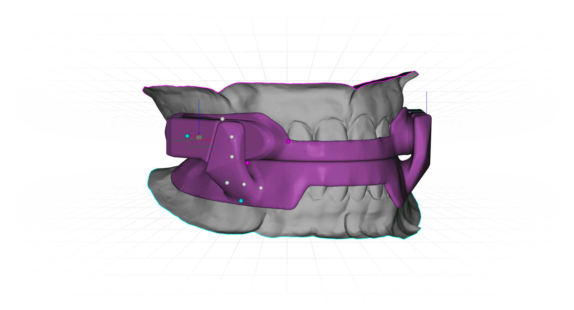 Panthera Dental facility