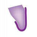 Labial