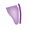 Vestibulaire