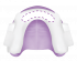 Upper Anterior