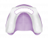 Upper Anterior