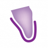 1/2 Vestibulaire