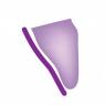 Palatin