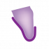 Overlap Labial with contact